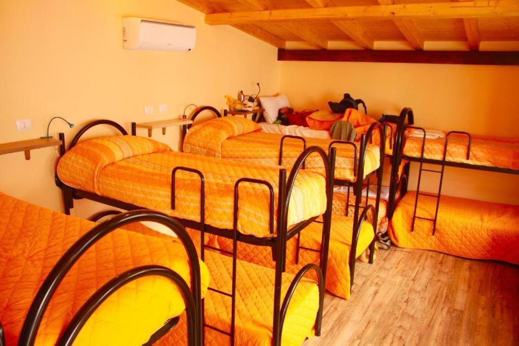 Hostel In City-in *